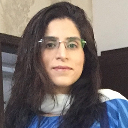 speaker image